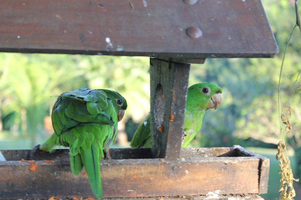 Hotel Fazenda Jacauna โบรตัส ภายนอก รูปภาพ