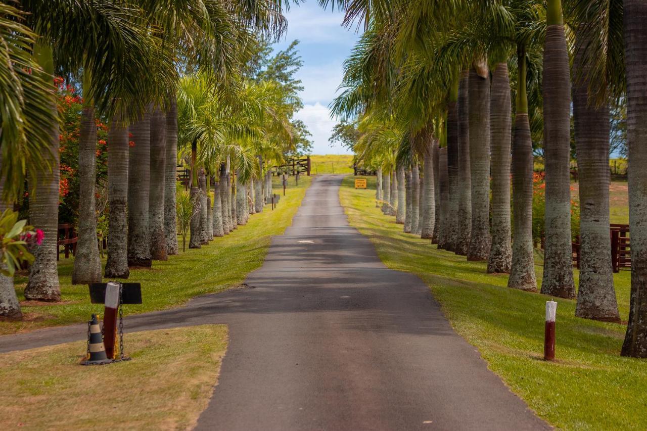 Hotel Fazenda Jacauna โบรตัส ภายนอก รูปภาพ