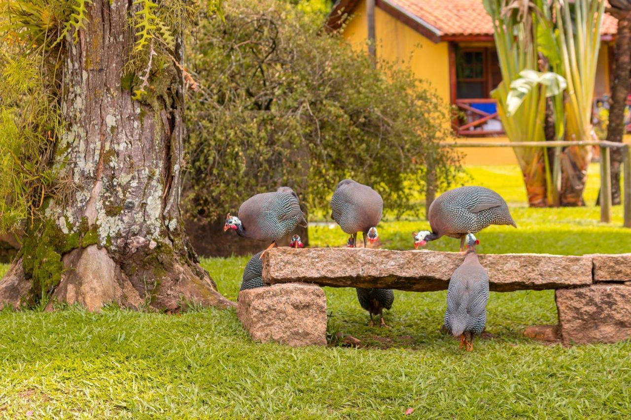 Hotel Fazenda Jacauna โบรตัส ภายนอก รูปภาพ
